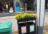 環(huán)衛(wèi)分類垃圾桶上栽花，成為城市風景線