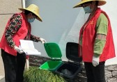 垃圾分類新港村開展垃圾分類入戶檢查和指導(dǎo)活動