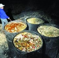 生活垃圾分類(lèi)知識(shí)“地溝油”最后都去了哪里呢？